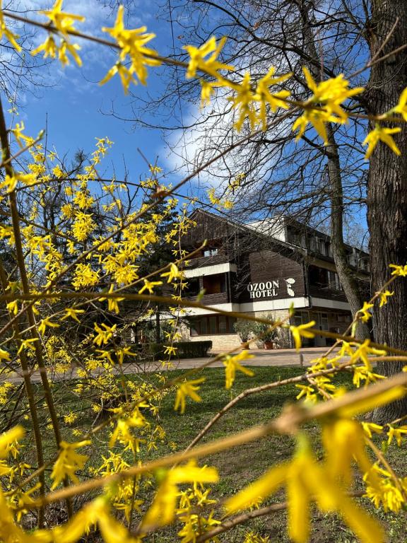 Ózoon Hotel - Resim 2