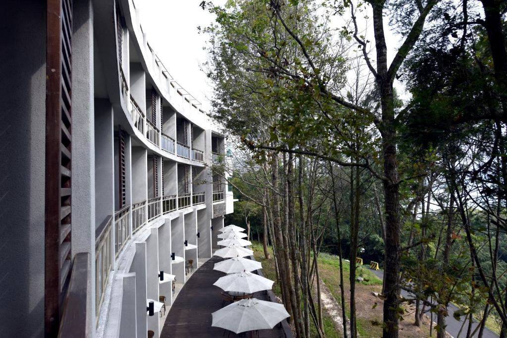 魚池鄉的住宿－日月潭竹石園生態渡假會館，一条带建筑物的走道上的雨伞