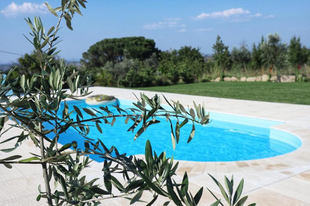 ein blauer Pool neben einem grünen Hof in der Unterkunft Casa do Soito in Oliveira do Hospital