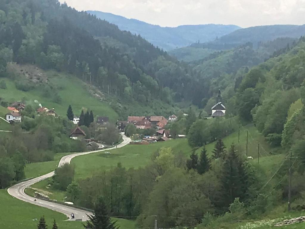 a winding road in a green valley with mountains at Sonniges, freistehendes Ferienhaus im Südschwarzwald für Dich ganz allein in Hasel