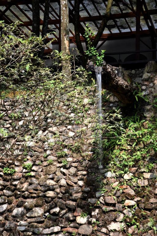 Zahrada ubytování Sun Moon Lake Bamboo Rock Garden