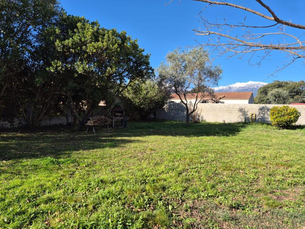 une cour avec des arbres et un mur dans l'établissement Bas de villa, Haute-Corse, vue montagne, 5min des plages, à Prunelli-di-Fiumorbo