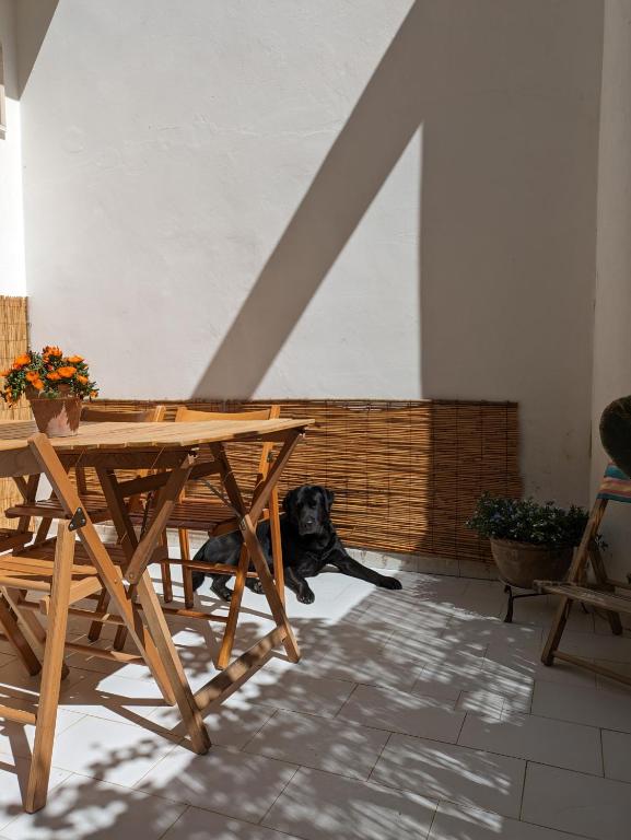 Fotografie z fotogalerie ubytování Casa Vacanze con Piscina a 2 passi da Lecce PT v destinaci San Pietro in Lama