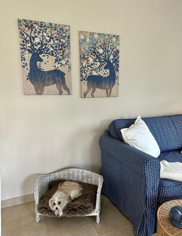 Posezení v ubytování Ferienwohnung IDA