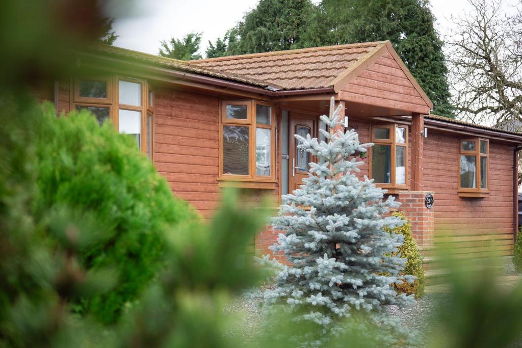 3 Bedroom lodge with hot tub 3