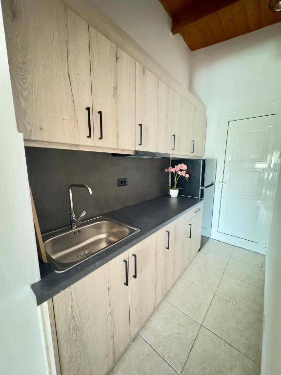 Kuchyň nebo kuchyňský kout v ubytování Alkyonis hotel