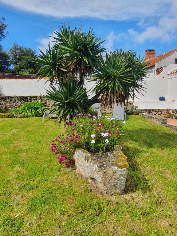Vonkajšia záhrada v ubytovaní Maison avec jardin à 200m de la plage La Cantine