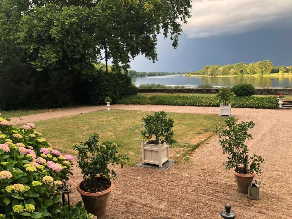 a garden with two potted plants and a lake at Le Petit Serrant - maison d'hôtes d'exception in Bouchemaine