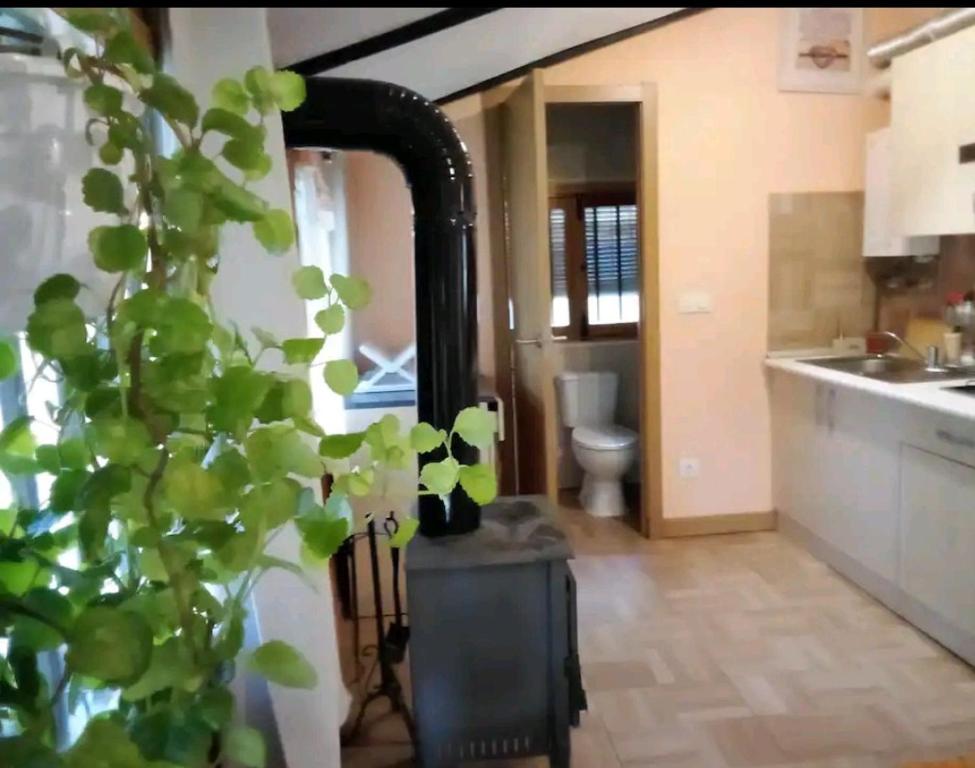 uma cozinha com um lavatório e um WC num quarto em Cabaña ecologica del lago em Paredes de Buitrago