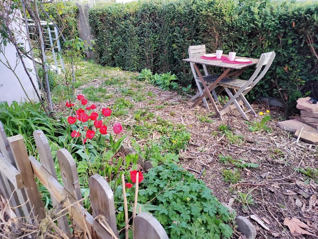 Les coquelicots, calme, jardin – photo 8