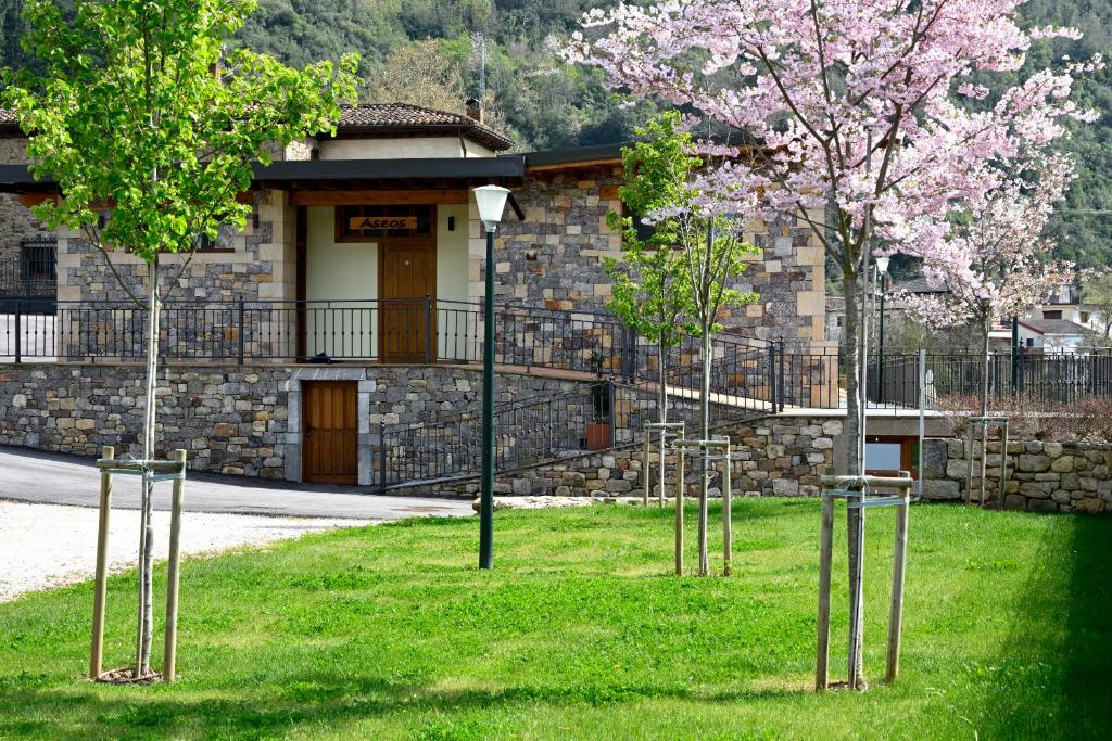 Zahrada ubytování Camping Liébana