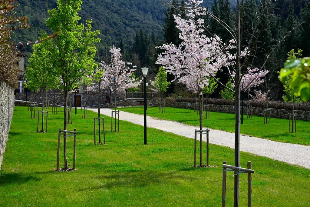 Zahrada ubytování Camping Liébana