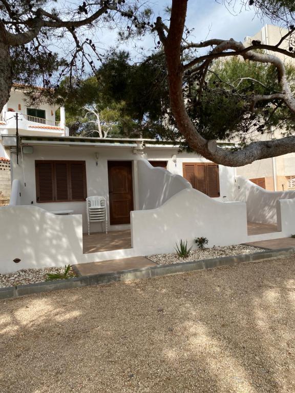 a white house with a tree in front of it at Apartamentos LLorca in Platja de l’Almadrava