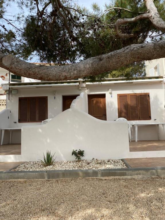 a white house with a tree in front of it at Apartamentos LLorca in Platja de l’Almadrava