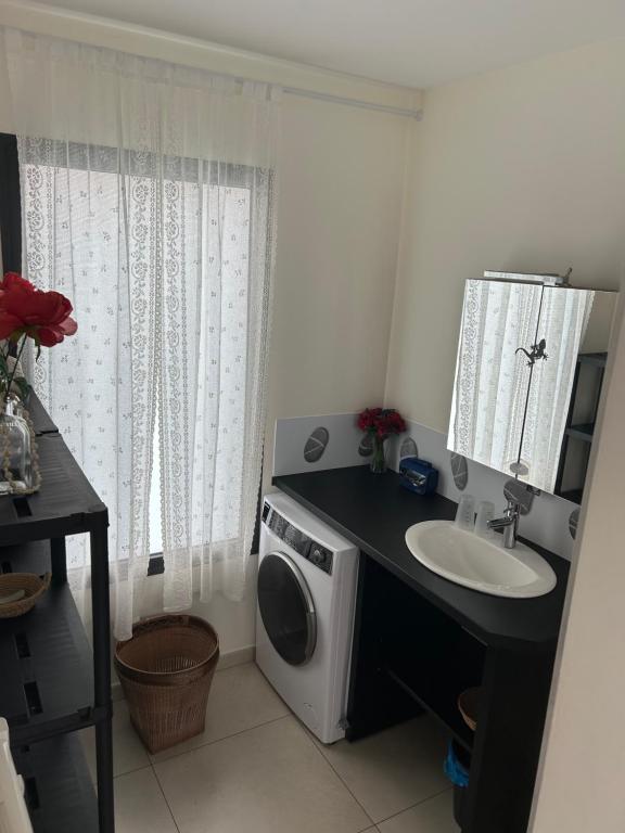 a bathroom with a sink and a washing machine at studio Les Alysées in Saint-Pierre