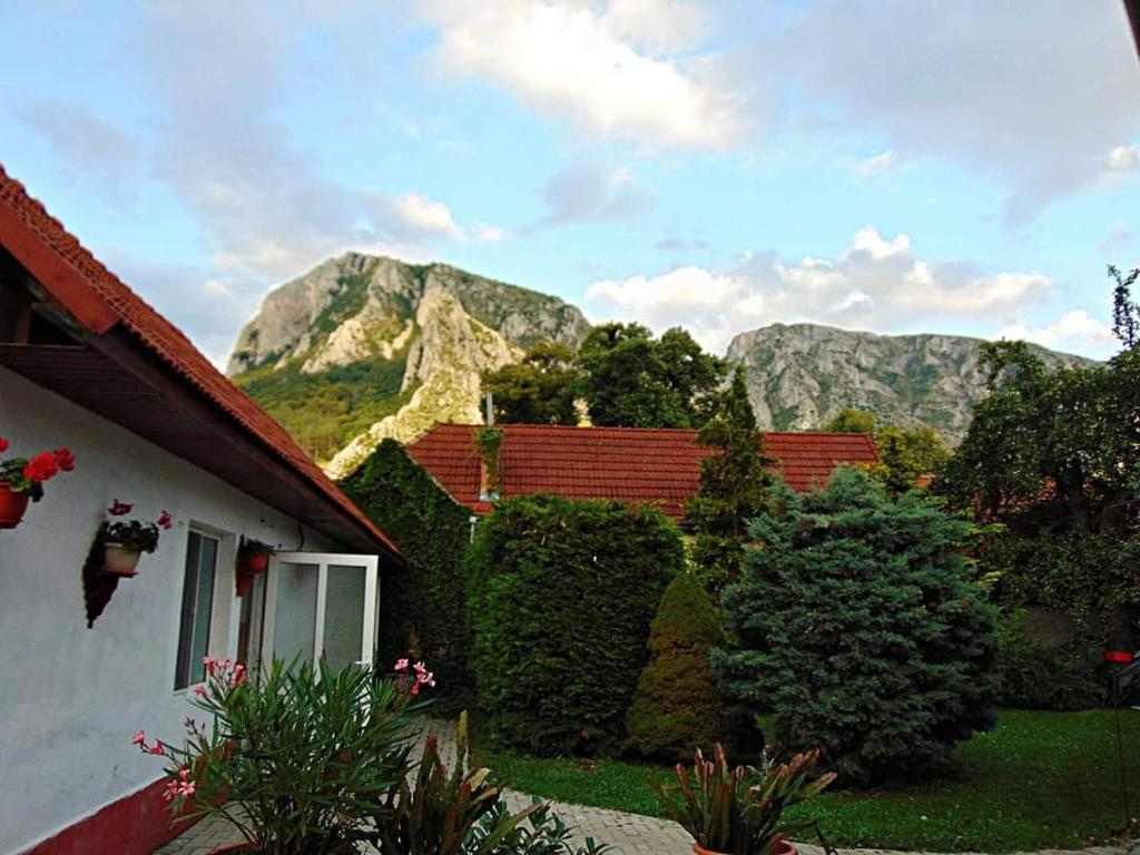 a house with a view of mountains in the background at Vigh vendégház in Rimetea