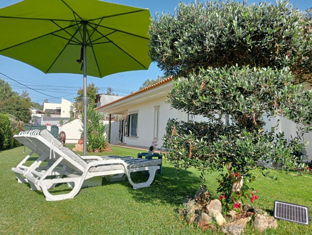 a green umbrella and a white chair and an umbrella at TERRENO DAS MIMOSAS in Aveiro