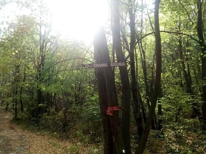 Příroda nedaleko vily