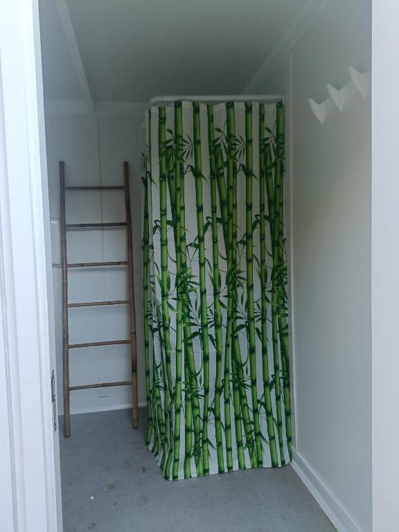 Glamping Finca el Olivo - 12