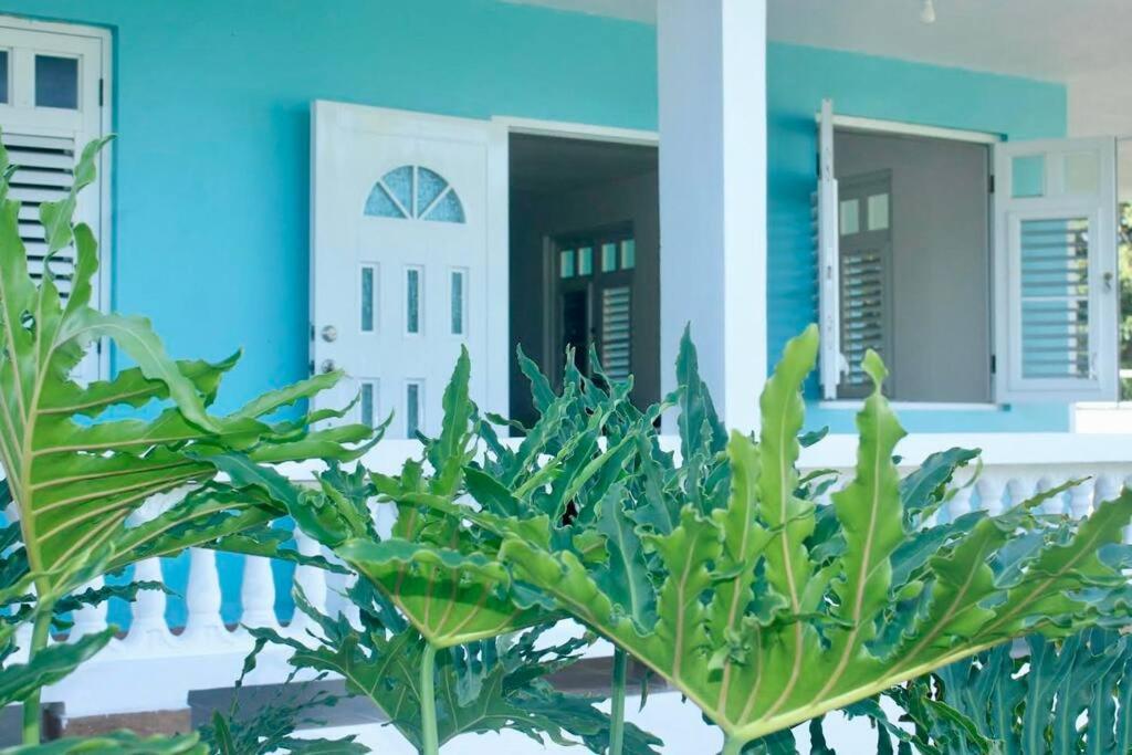 ein blaues Haus mit einer Pflanze davor in der Unterkunft Casa Lula Beach Retreat - Dog friendly, Fenced backyard in Arecibo