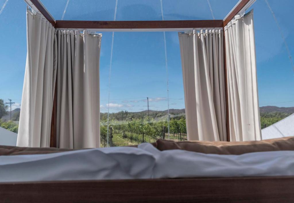 Postel nebo postele na pokoji v ubytování Campera Valle de Guadalupe