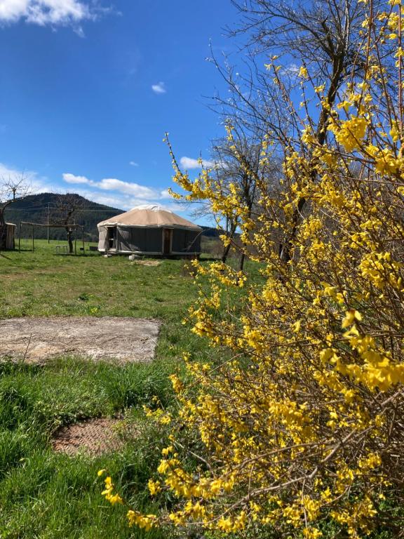 a yurt in the middle of a field with yellow flowers at Yourte tout confort éco-responsable in Saint-Pierre-Eynac