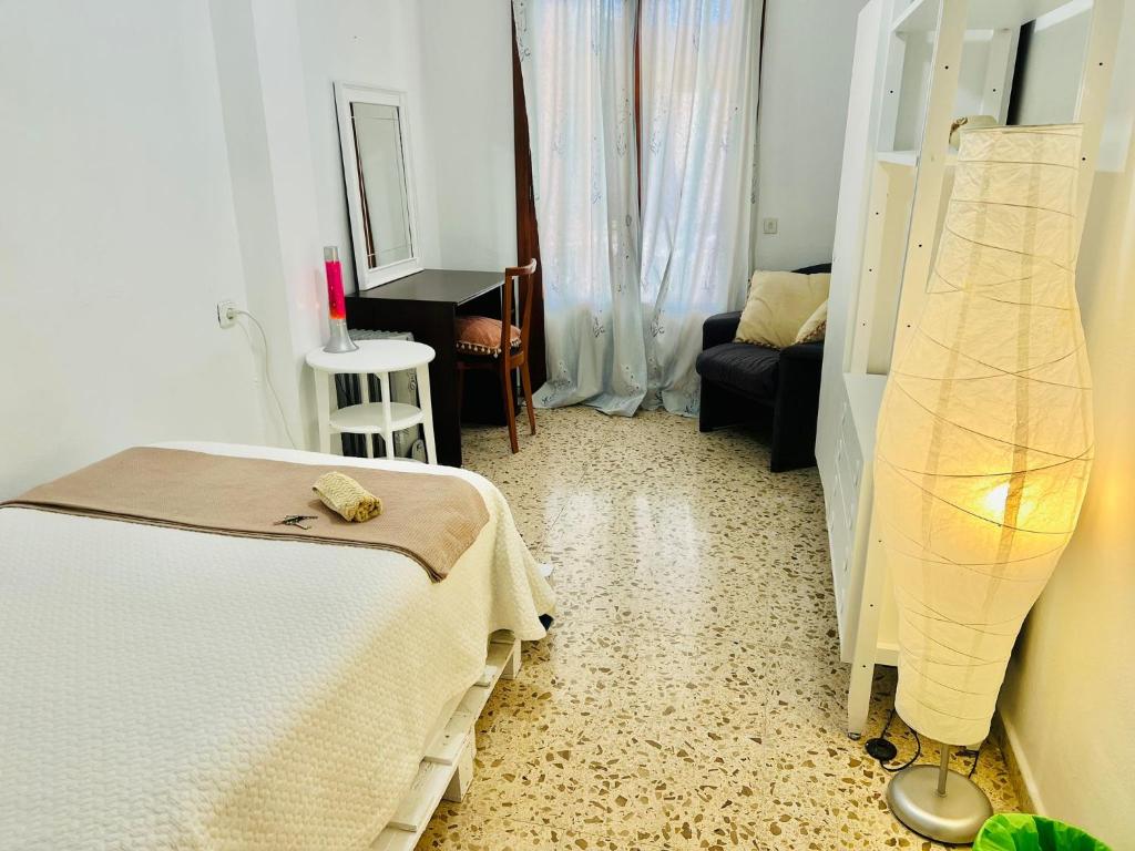 ein Schlafzimmer mit einem Bett und einem Schreibtisch in einem Zimmer in der Unterkunft Habitacion RUSTICA en Palma para una sola persona en casa familiar in Palma de Mallorca