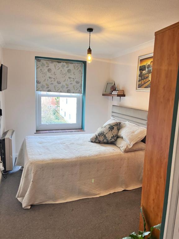 Un dormitorio con una cama grande y una ventana en Cozymodrenroom en Brighton & Hove