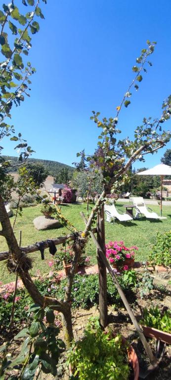 A garden outside Agriturismo Il Pozzo