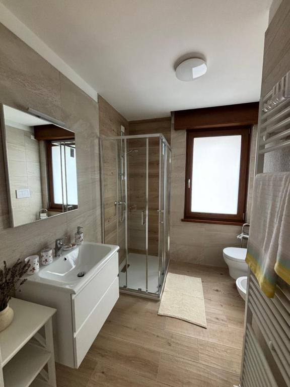 a bathroom with a sink and a shower and a toilet at Tati&Ele apartments in Sedico