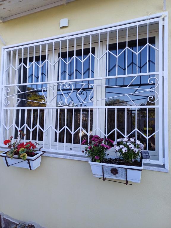 a window with flowers in pots on the side of a building at Casa Gimaga in Pozzuoli