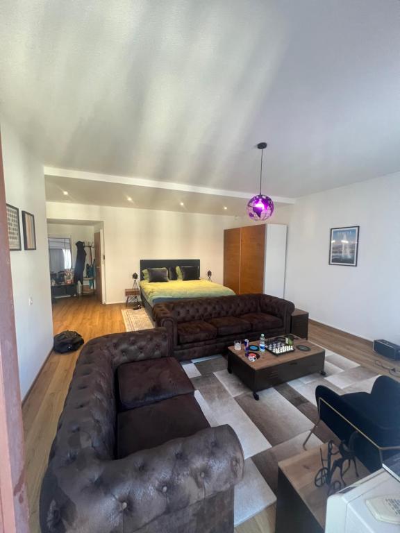 a living room with a couch and a bed at Magnificent apartment, Geneva Center, Geneva Lake in Geneva