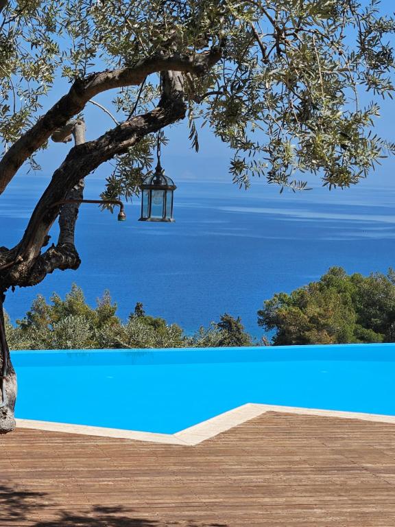 uma luz pendurada numa árvore ao lado de uma piscina azul em Yialasi Hotel em Ancient Epidavros