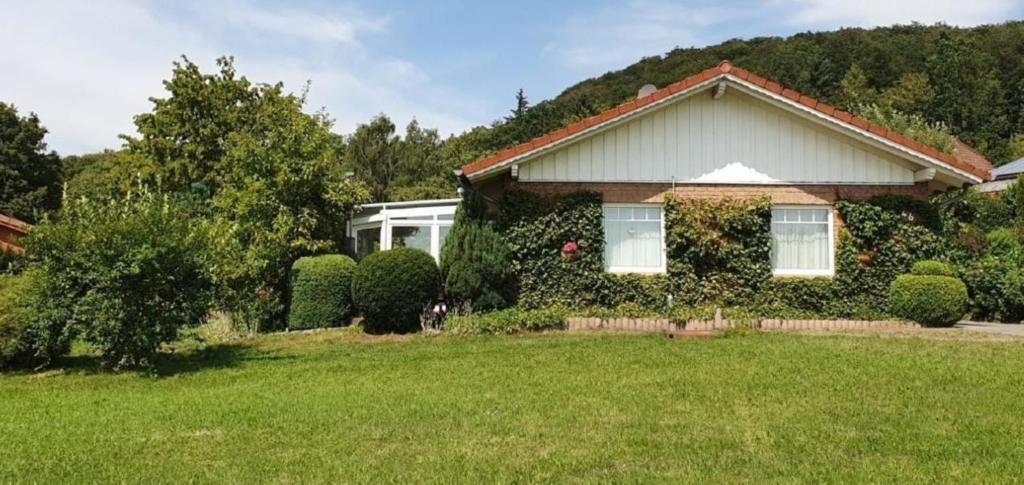 una casa con hiedra creciendo a su lado en Sonnendurchflutetes Ferienhaus mit Wintergarten in Marienmünster mit schönem Garten und Terrassen en Marienmünster