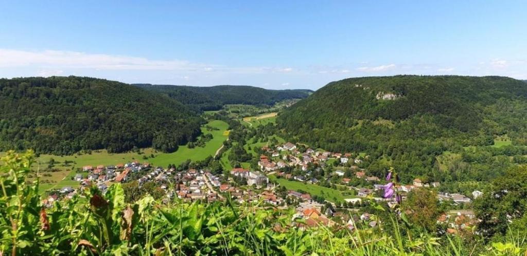 Blick auf eine Stadt in den Hügeln in der Unterkunft Wohnung in Bad Ditzenbach mit Eigenem Garten in Bad Ditzenbach