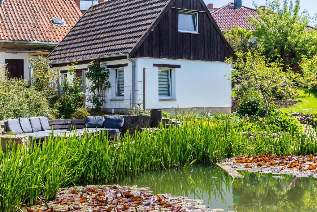 a house and a pond in front of a house at Ferienhaus Teichblick in Klütz