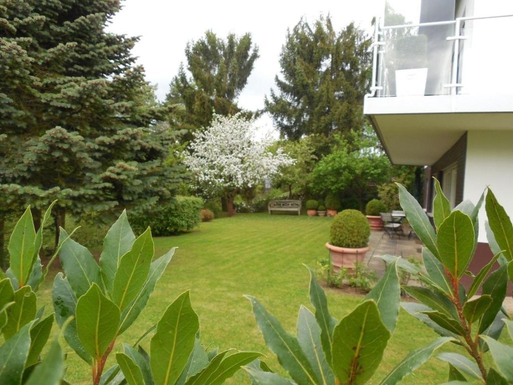 een tuin van een huis met een gazon met bomen bij Ferienwohnung im Haus direkt am Waldrand mit Terrasse und Garage in Volkmarsen