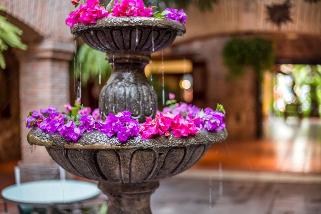 Zahrada ubytování Hacienda Buenaventura Hotel & Mexican Charm - All Inclusive