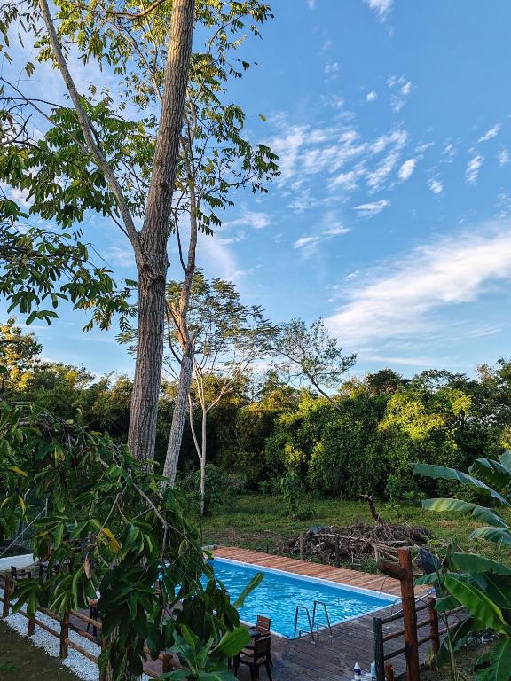 a swimming pool with two chairs next to a tree at Finca Campestre La Flor in Doradal