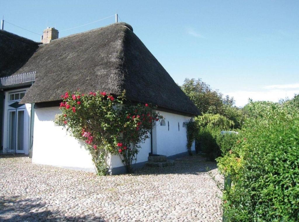 Ferienhaus in Midlum mit Kleinem Garten, Midlum (aktualisierte Preise