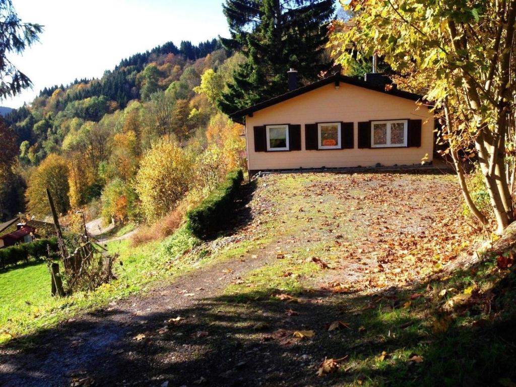 a house on the side of a hill at Ferienhaus für 5 Personen ca 70 qm in Sankt Andreasberg, Harz Oberharz in Sankt Andreasberg