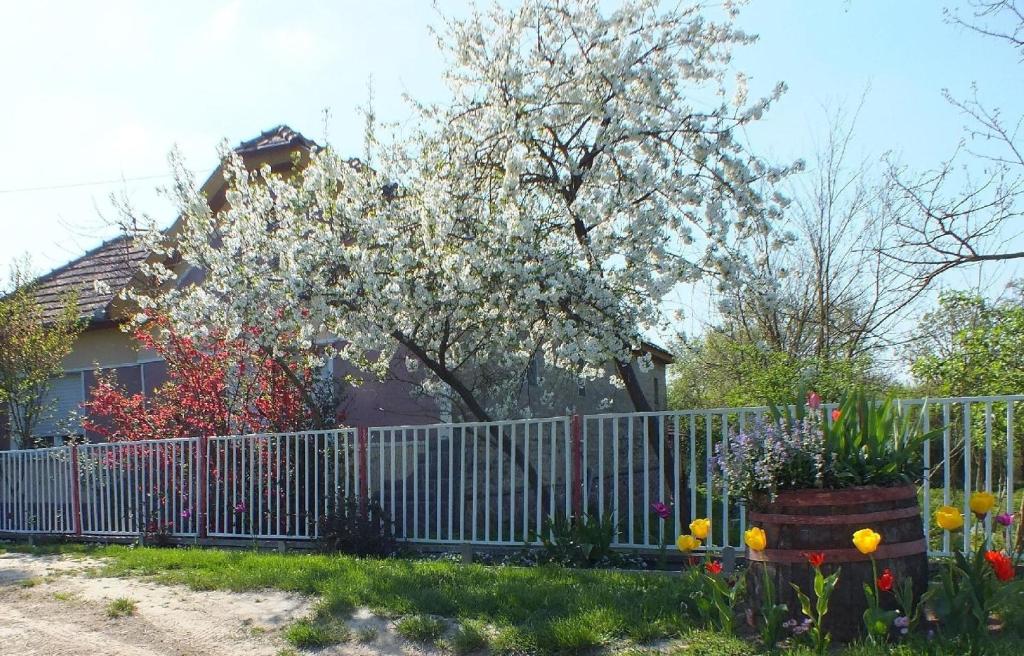 Fotografia z galérie ubytovania Ferienhaus in Döbrököz mit privatem Pool v destinácii Döbrököz