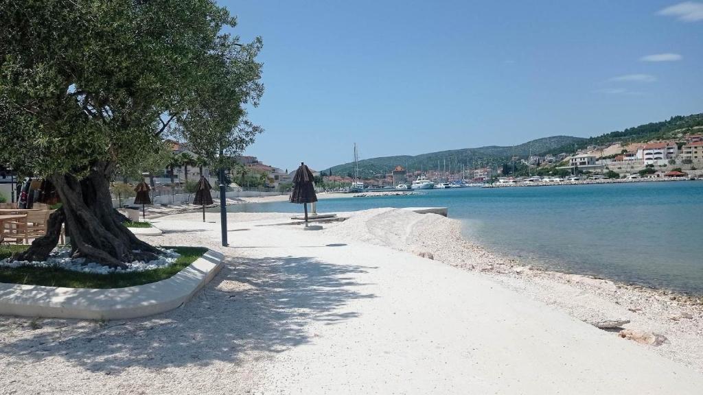 ein Baum an einem Strand neben einem Wasserkörper in der Unterkunft Studio für 6 Personen ca 90 qm in Marina, Dalmatien Kaštela und Umgebung - b53669 in Marina