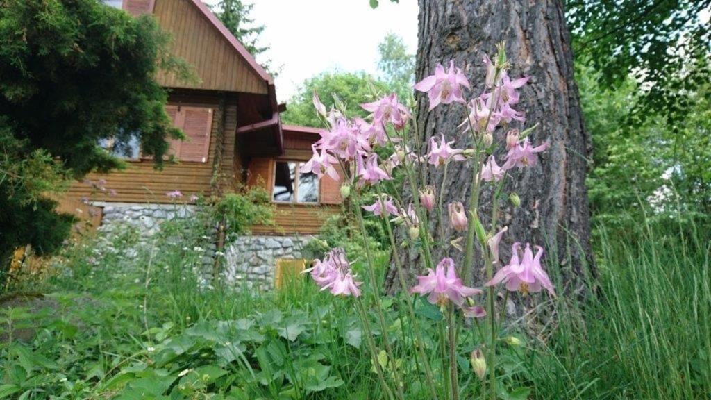 Fotografie z fotogalerie ubytování Ferienhaus direkt am See mit Garten und Parkplatz ve Frymburku