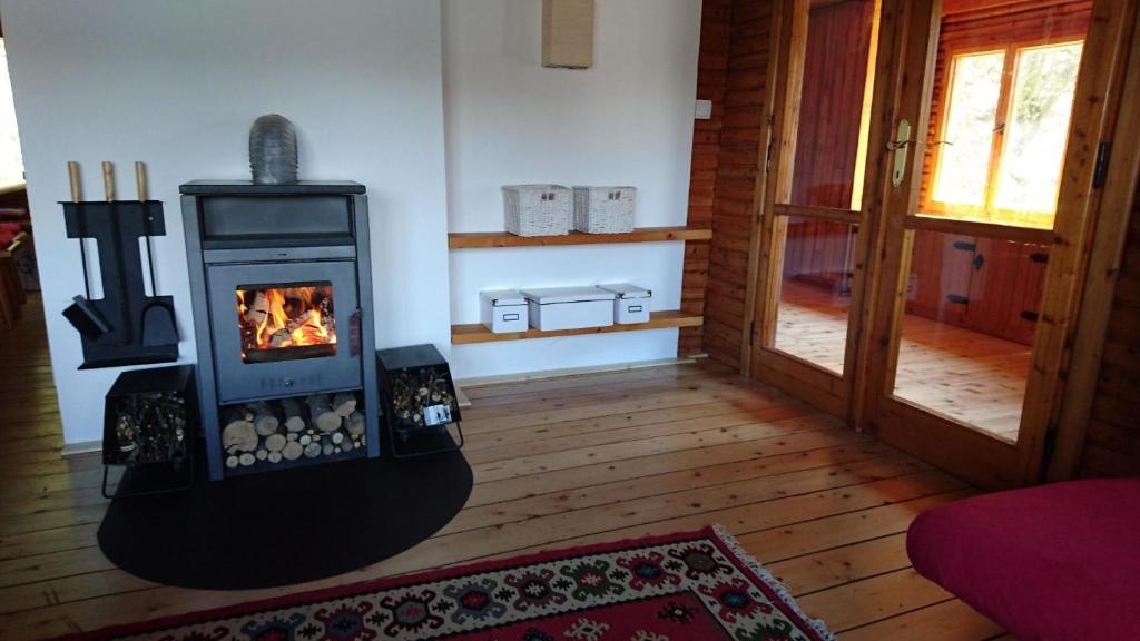 Fotografie z fotogalerie ubytování Ferienhaus direkt am See mit Garten und Parkplatz ve Frymburku