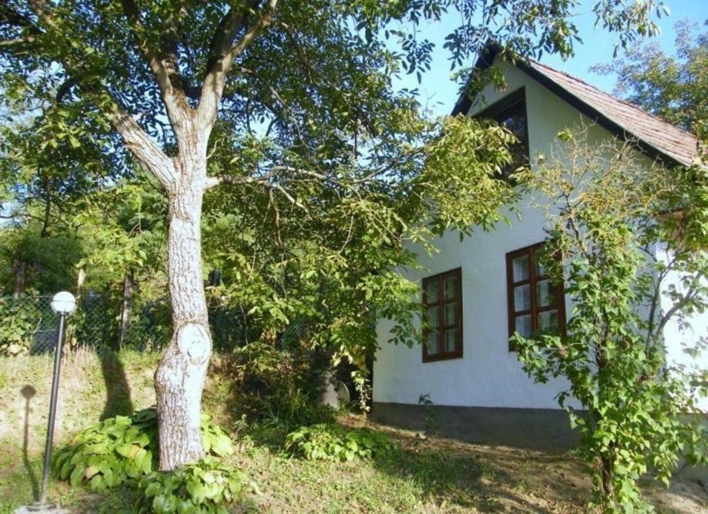 a white house with a tree in front of it at Freistehendes Ferienhaus in Döbrököz mit Garten, Terrasse und Grill in Döbrököz