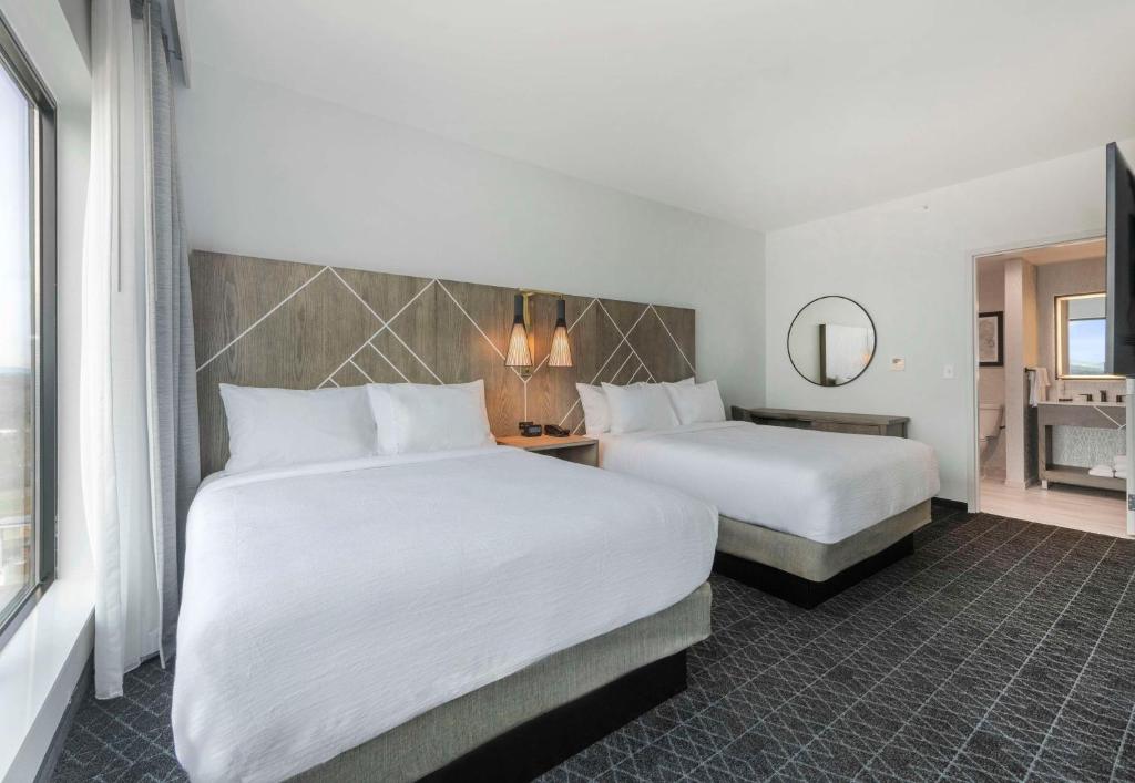 Embassy Suites By Hilton Asheville Downtown - Suite Queen De Una Habitación Con View Mountain