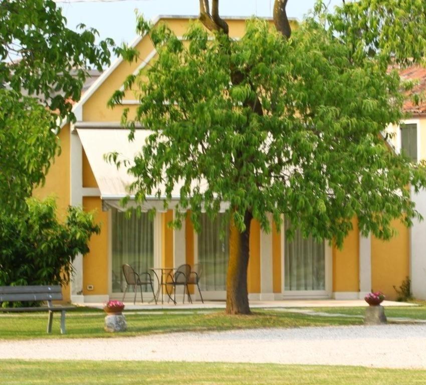 a tree in front of a building with a bench at Romantisches Gästezimmer 22 qm für max zwei Personen in Mira