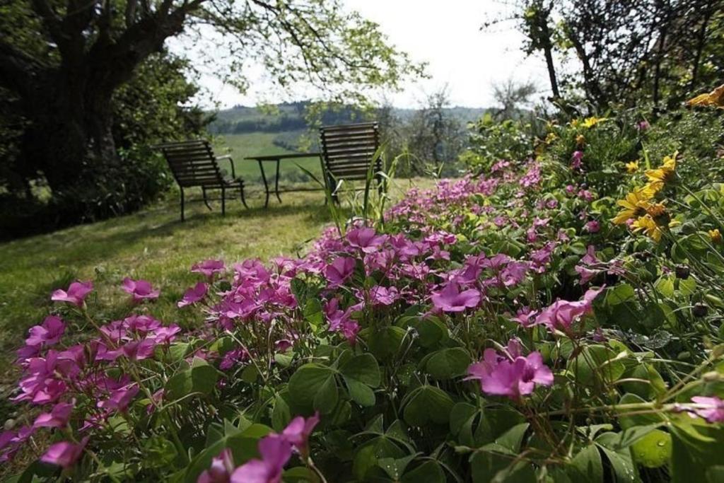 dos sillas sentadas en un jardín con flores púrpuras en Casa Corzanello, en San Casciano in Val di Pesa