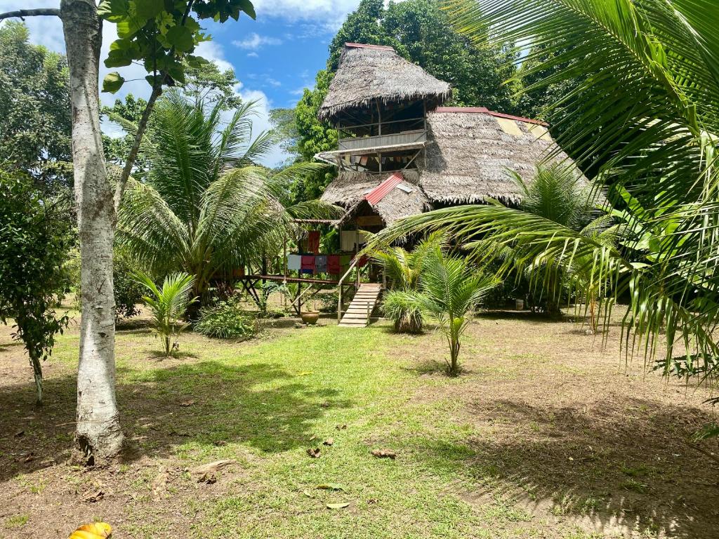 プカルパにあるJungle Lodge with lookout towerの藁屋根とヤシの木があるアトロピカル ハウス